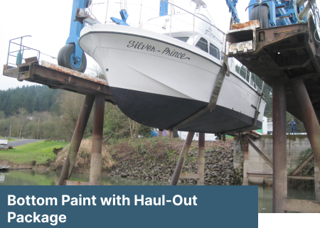 Bottom Paint with Haul-Out Package